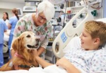 L’evoluzione del rapporto con gli animali da affezione e le varie forme di beneficio che offrono