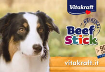 Tornano gli spot Vitakraft su “L’Arca di Noè”