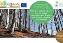 CREA: boschi cedui, presentati i risultati del progetto Future for Coppices