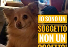 A Roma la Manifestazione nazionale “Soggetti non oggetti”
