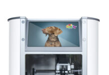 Una medaglietta per ogni proprietario pet