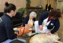 La Pet Therapy a sostegno dei pazienti oncologici del Valdarno