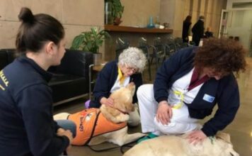 La Pet Therapy a sostegno dei pazienti oncologici del Valdarno