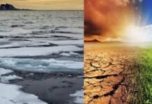Clima e riscaldamento globale: il 2024 è l’anno più caldo di sempre