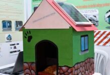 Una cuccia a energia solare per animali randagi