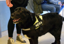 Al via il progetto di pet therapy nel Dipartimento Materno Infantile dell’Aou Senese