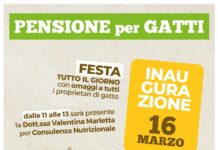 Nasce la prima pensione per gatti in provincia di Ragusa