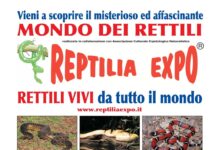 L’affascinante mondo dei rettili al Centro Sportivo di Limbiate
