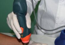 Primavera: prime uscite “rischiose” per la salute degli animali di casa