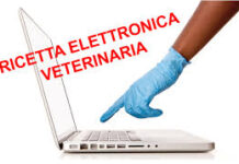 Ricetta veterinaria elettronica: cosa cambia per i proprietari di animali