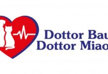 Dottor Bau & Dottor Miao: al via la prima mutua veterinaria per cani e gatti