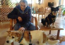Pet Therapy in Hospice a Cremona