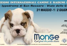 A San Rossore va in scena l’Expo Internazionale Cinofila