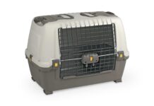 In viaggio coi pet in totale sicurezza con Travel Car Box 90