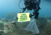 Al via il progetto WonderFull