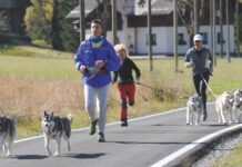 Al via il Dog Trekking a Tarvisio