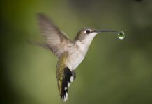 Al BAUBEACH rivoluzione “plastic free” in 2 full week-end