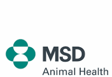 Presentato il primo studio sulla qualità della vita professionale dei Medici Veterinari italiani