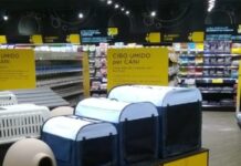Due nuovi store Arcaplanet