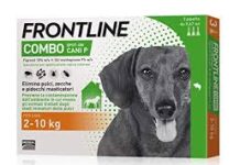 FRONTLINE è ‘Brand dell’Anno’ 2019-2020 nei World Branding Award