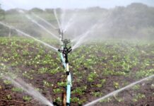 Acqua e agricoltura nel Mediterraneo oltre il cambiamento climatico con FIT4REUSE
