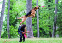 Al Parco del Castello Visconteo di Pavia arriva il Pet Show