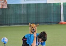 Un pomeriggio dedicato agli amici a 4 zampe a Il Porto di Adria