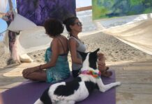 Ferragosto al Baubeach