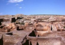 La modifica degli equilibri ambientali è iniziata già 10.000 anni fa