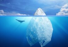 Al via il primo eco festival plastic free della Capitale