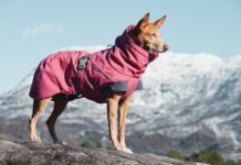 Hurtta presenta la giacca outdoor Expedition Parka