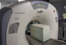 Una tomografia computerizzata per salvare la covata delle api