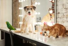 Il 52% degli italiani si ritiene “genitore” di un cucciolo