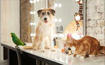 Il 52% degli italiani si ritiene “genitore” di un cucciolo