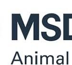 MSD Animal Health e ANMVI tornano nelle scuole con “Una Zampa in Famiglia 2”
