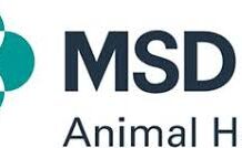 Non solo cure ma cura. Prevenzione, AI e One Health: ecco come sarà il Medico Veterinario del futuro