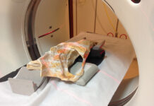 I cetacei più antichi percepivano ancora gli odori