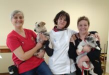 A Cona riparte il progetto di pet therapy organizzato da ChiaraMilla
