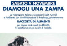 In Esselunga ritorna l’iniziativa “Diamogli una zampa”