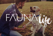 E’ italiano il primo cane al mondo registrato con la tecnologia blockchain