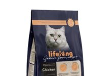 Amazon svela una nuova linea di alimenti per animali domestici senza cereali