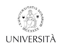 La spiaggia municipale di Nizza sulla Promenade des Anglais protetta dalla tecnologia Smart Pebble per tracciare lo spostamento dei sedimenti lungo la costa