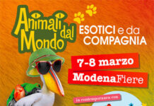 Animali dal Mondo: centinaia di specie in mostra