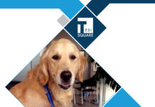 TESISQUARE promuove l’ufficio Pet-Friendly