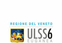 Realizzato un “villaggio” per i mici del presidio ospedaliero di Piove di Sacco