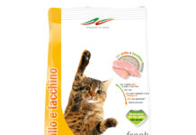 Nuovo Kekè Fresh dedicato a chi ama i gatti