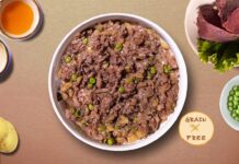 Cani e intolleranze alimentari: i cereali tra i fastidi più sottovalutati