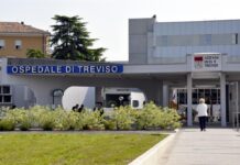 Oncoematologia pediatrica del Ca’ Foncello: durante l’emergenza sperimentata con successo la Pet-Therapy a distanza