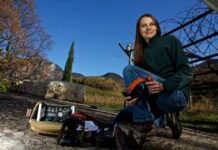 Effetto del lockdown sulla fauna selvatica