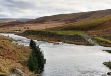 Oltre un milione di barriere fluviali